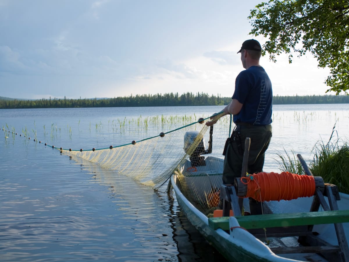 Seining